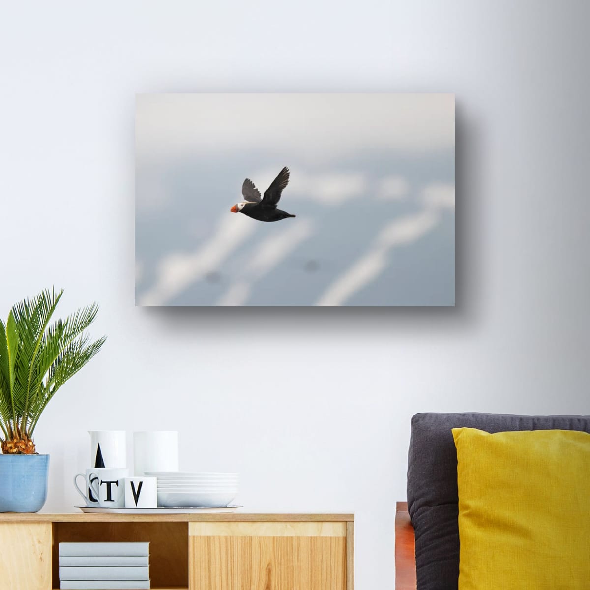 Long Journey: Tufted Puffin