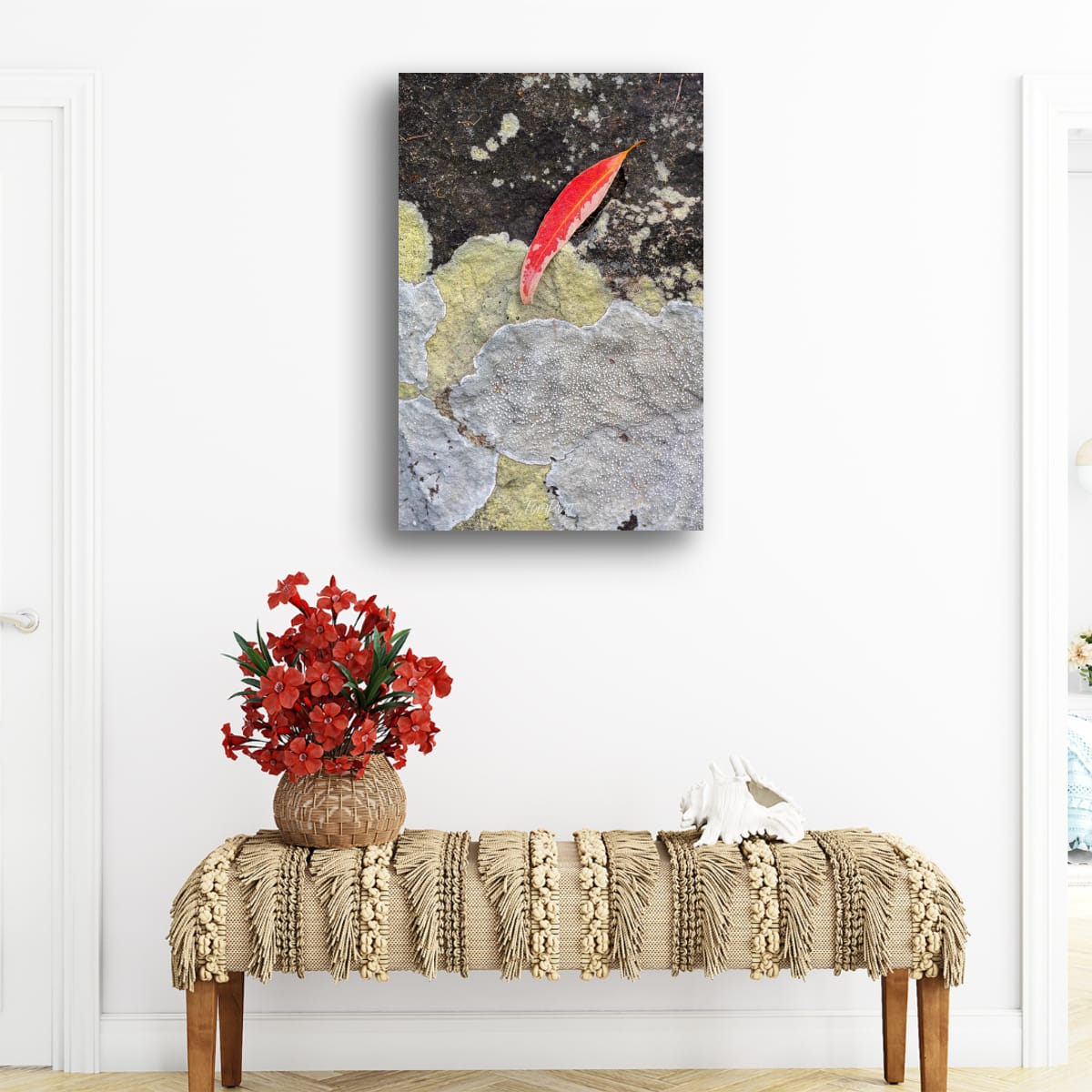 A Touch of Red, Carnarvon Gorge