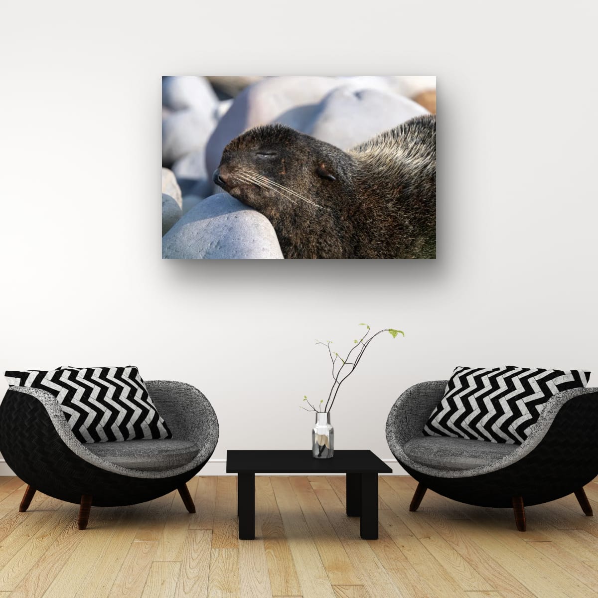 Coastal Nap: Sea Lion