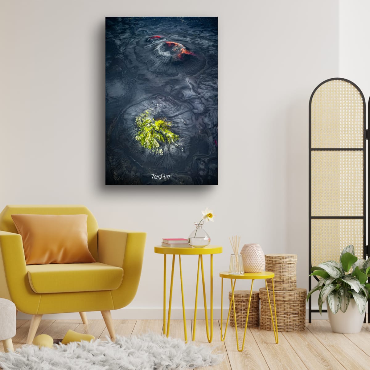 Contrasting Landscape, Iceland