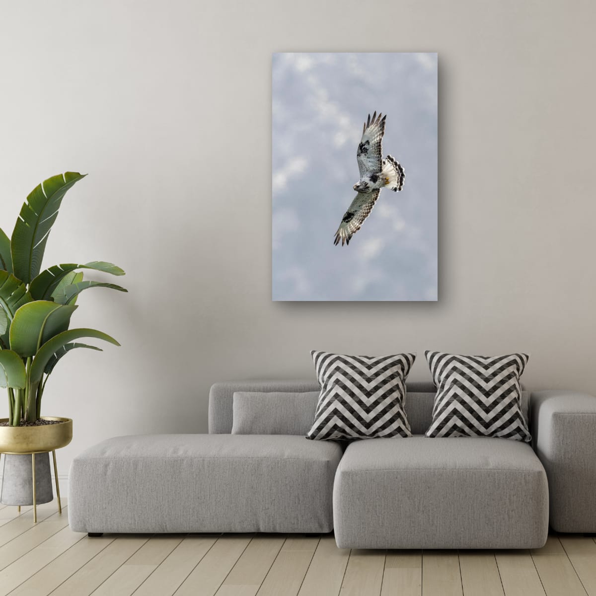 Wings Out. Rough-Legged Hawk