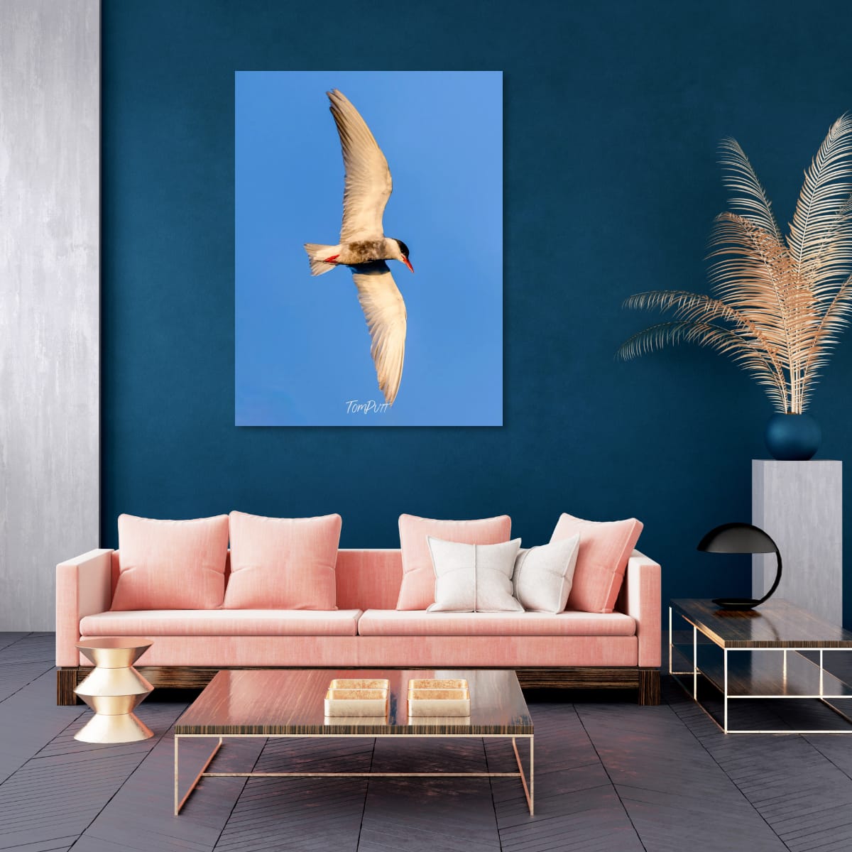 Against the Blue. Whiskered Tern