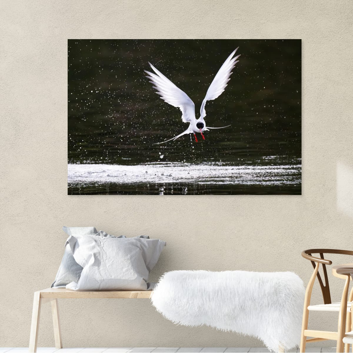 Now Landing. Arctic Tern