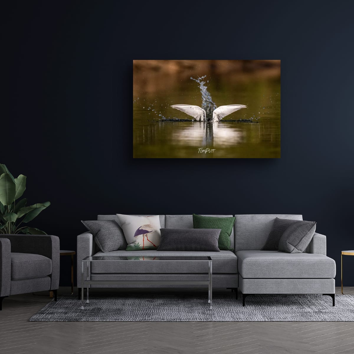 Elegant Splash. Whiskered Tern
