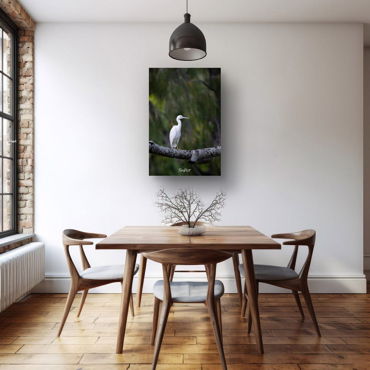 Eastern Reef Heron: Graceful Perch