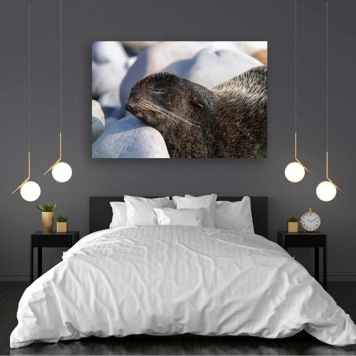 Coastal Nap: Sea Lion