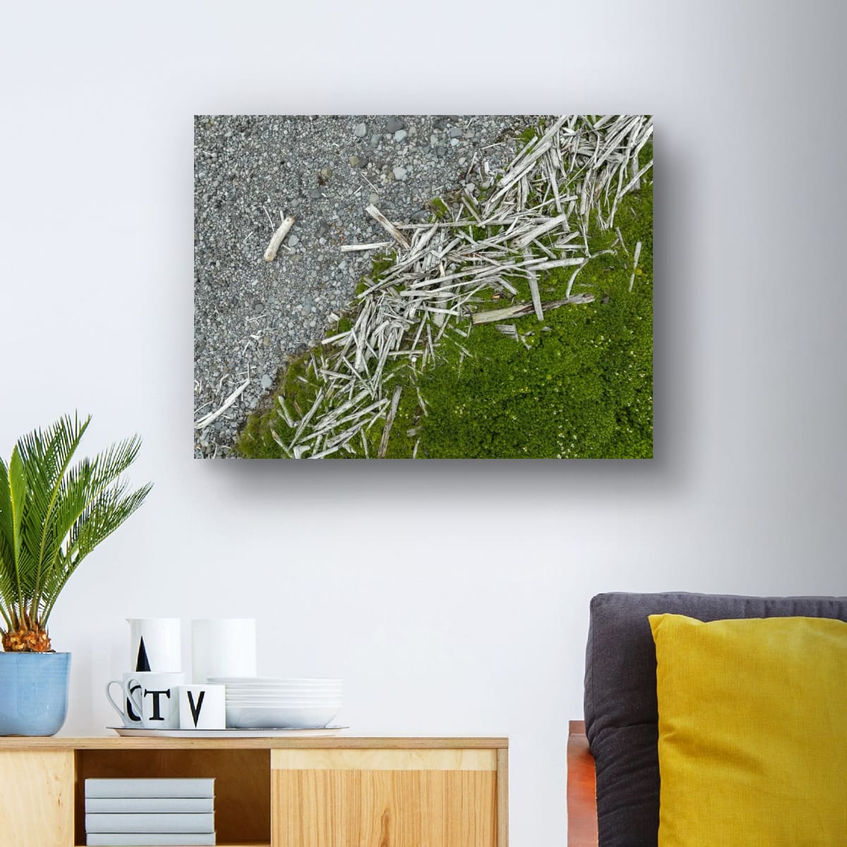 Driftwood, Stone and Moss