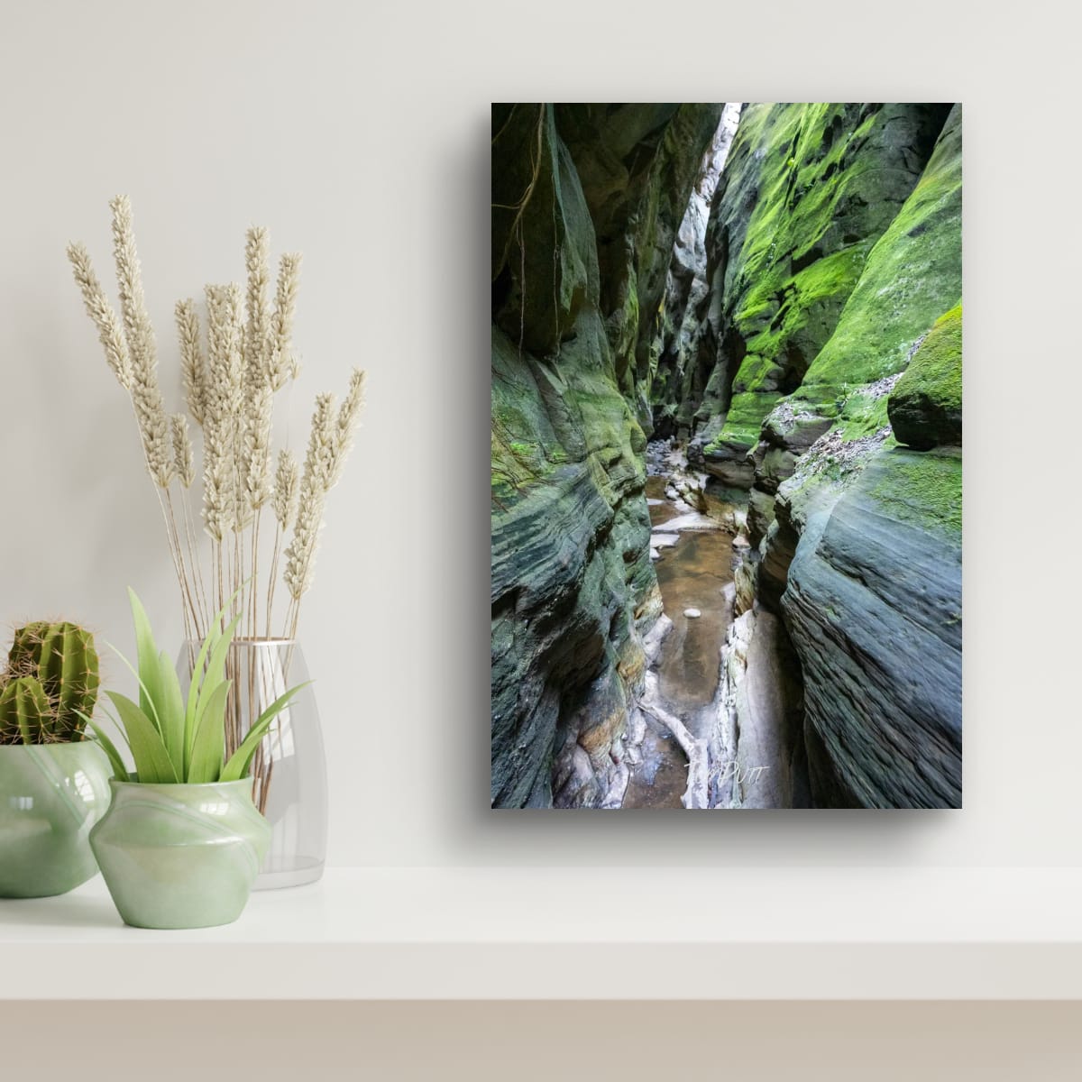 Mickey’s Creek Canyon, Carnarvon Gorge