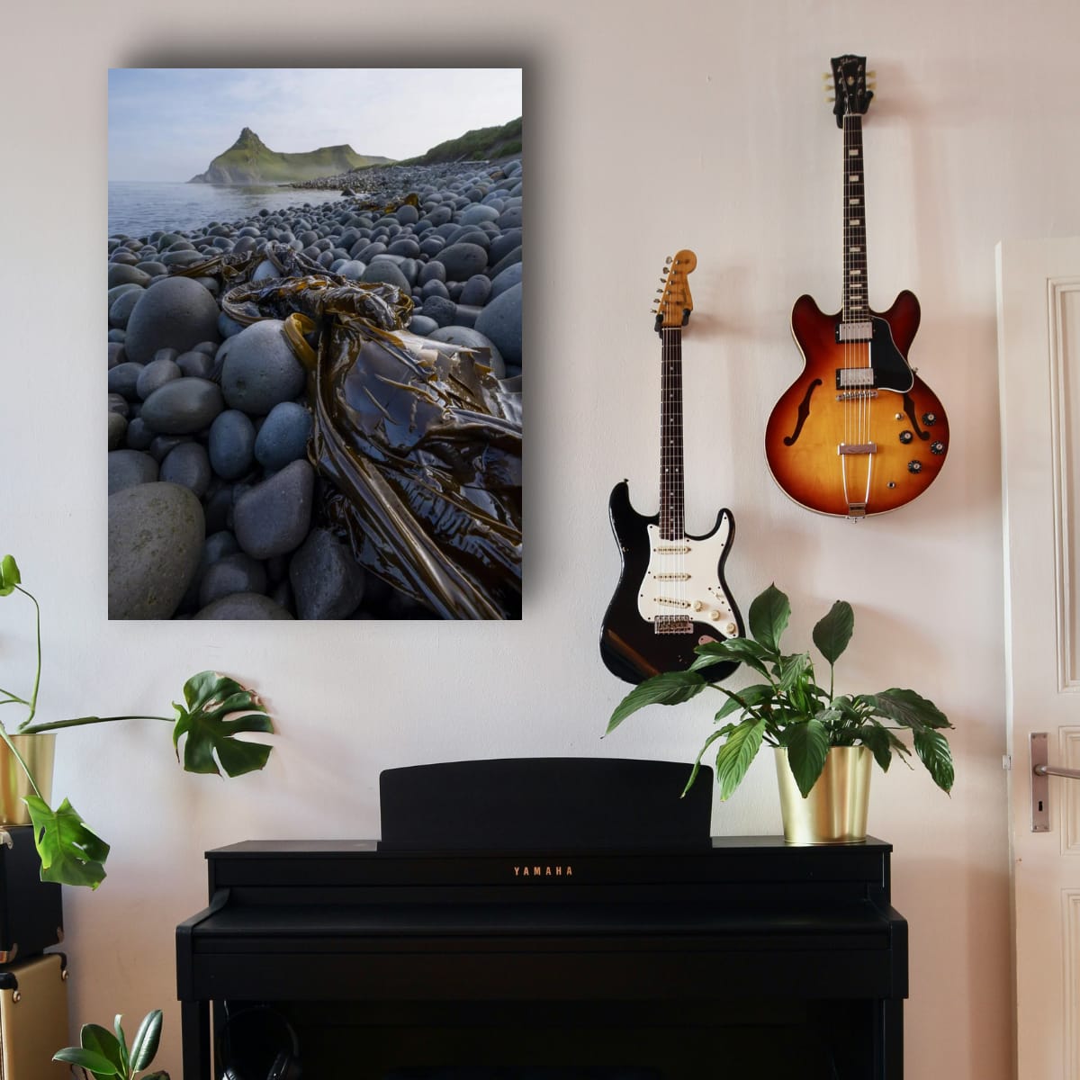 Kelp and Stone