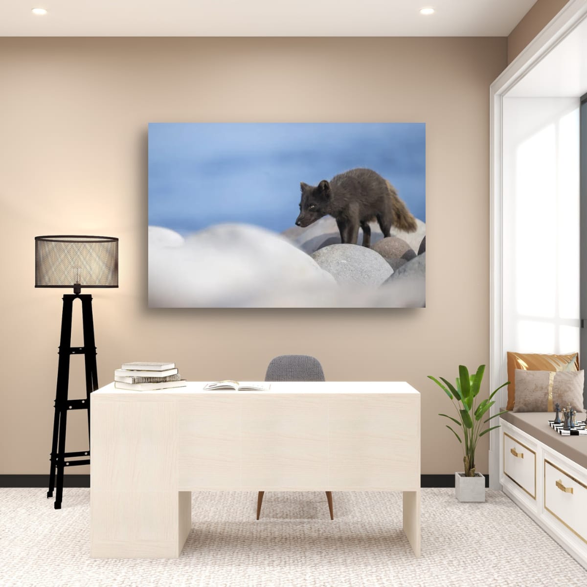 Rocky Walk: Arctic Fox