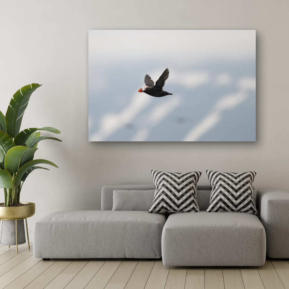Long Journey: Tufted Puffin