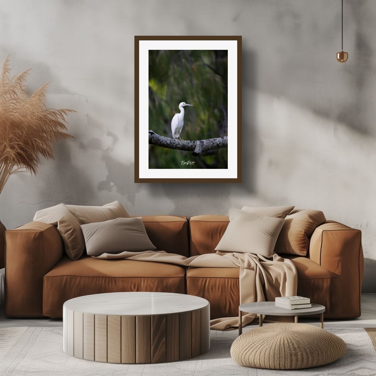 Eastern Reef Heron: Graceful Perch