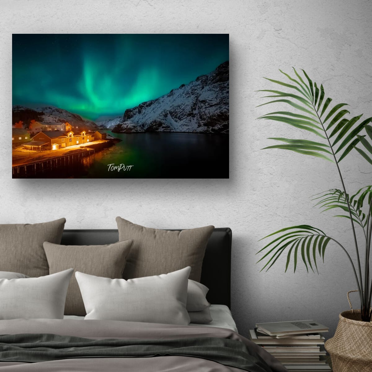 Lofoten Lights