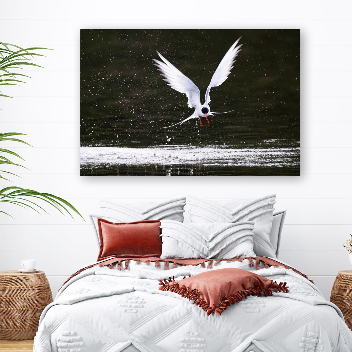 Now Landing. Arctic Tern