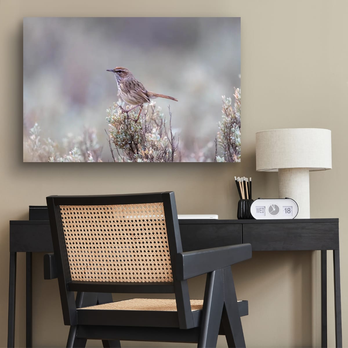 Meadow Whisper. Rufous Fieldwren