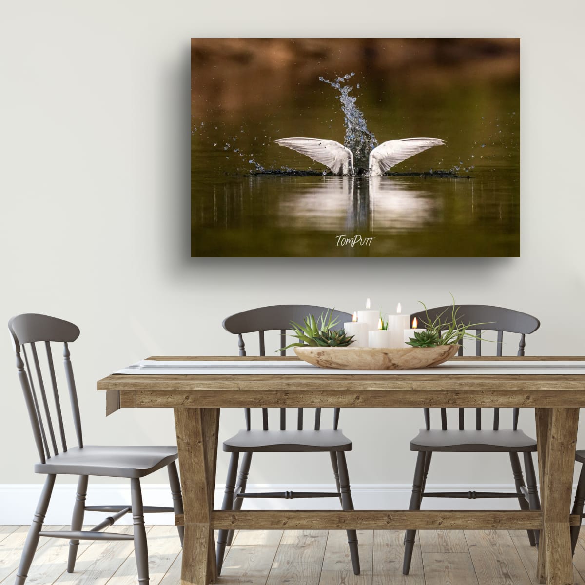 Elegant Splash. Whiskered Tern