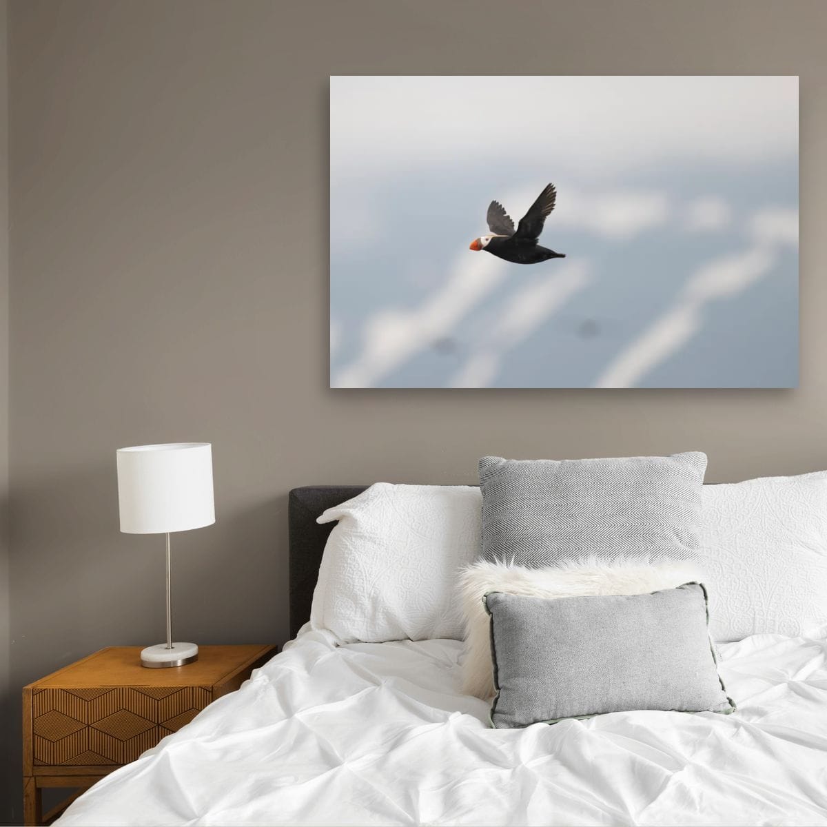 Long Journey: Tufted Puffin
