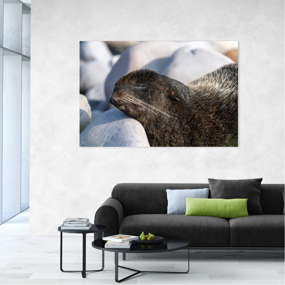 Coastal Nap: Sea Lion