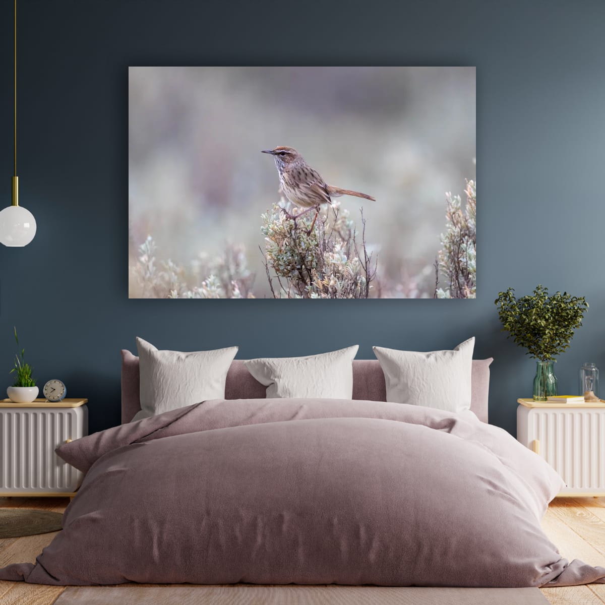 Meadow Whisper. Rufous Fieldwren