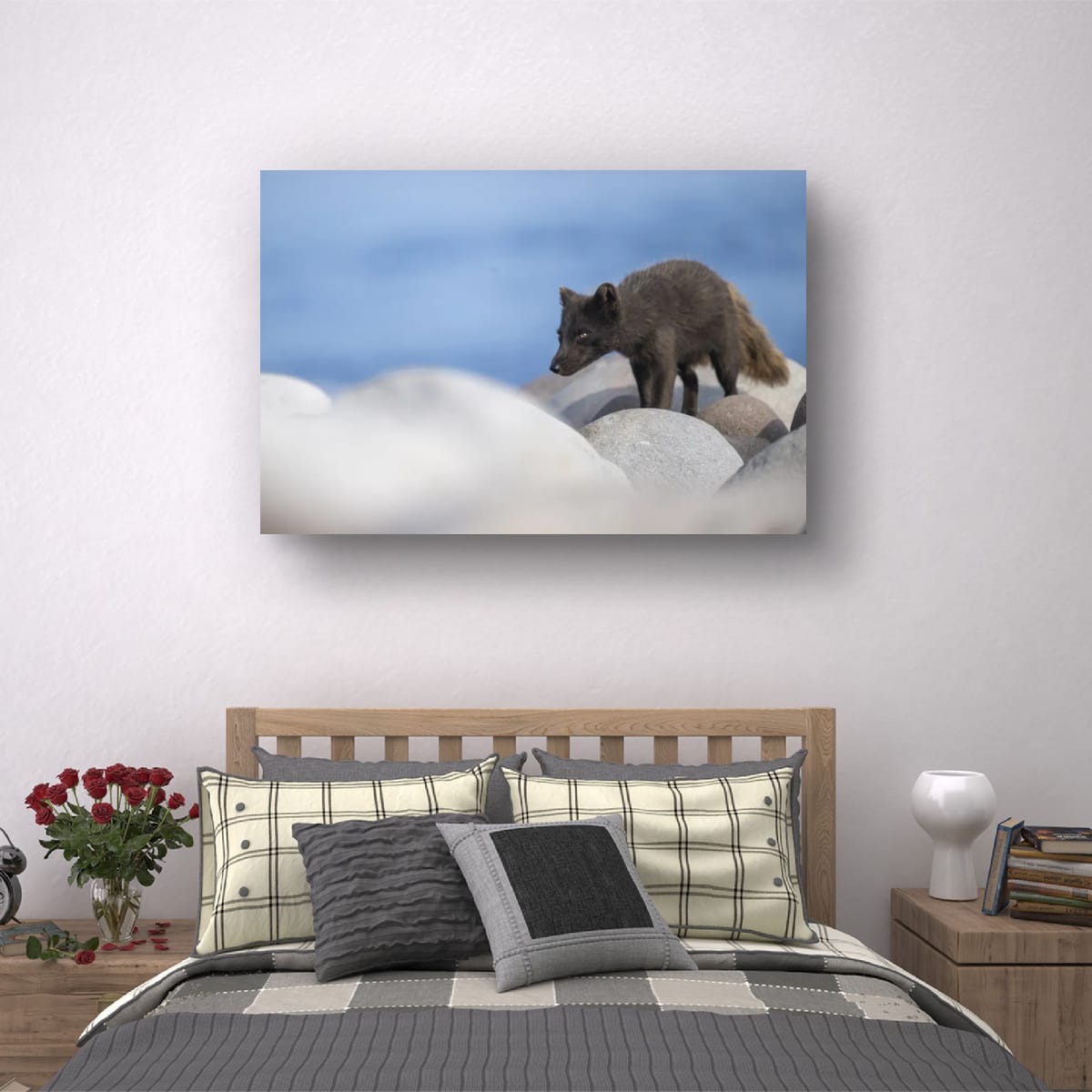Rocky Walk: Arctic Fox