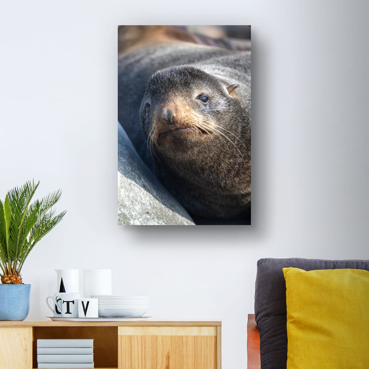 Resting Sea Lion