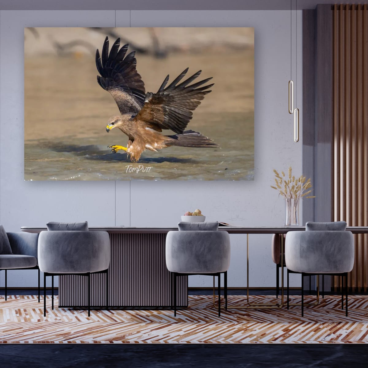 Precision Dive. Black Kite