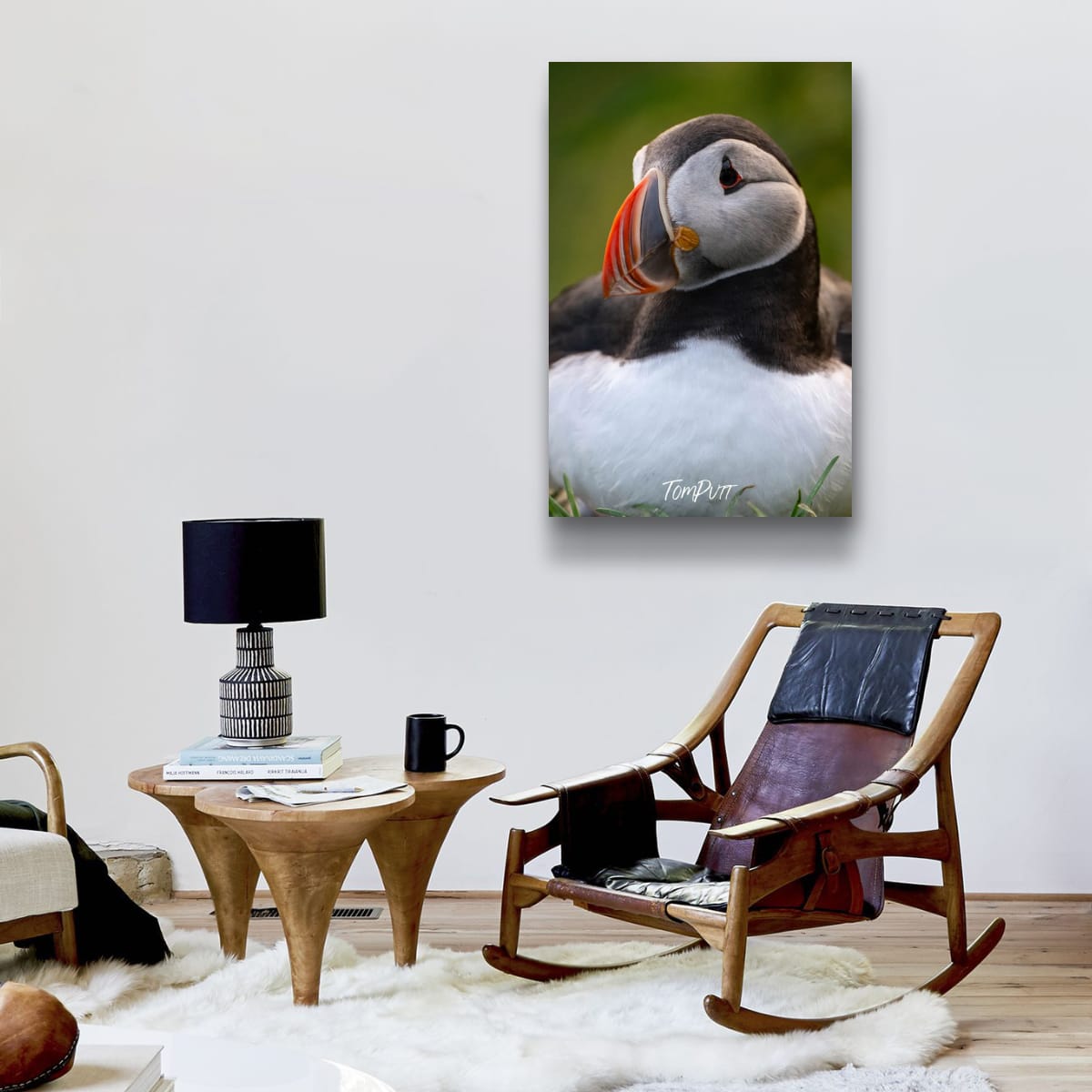 Contemplation. Atlantic Puffin