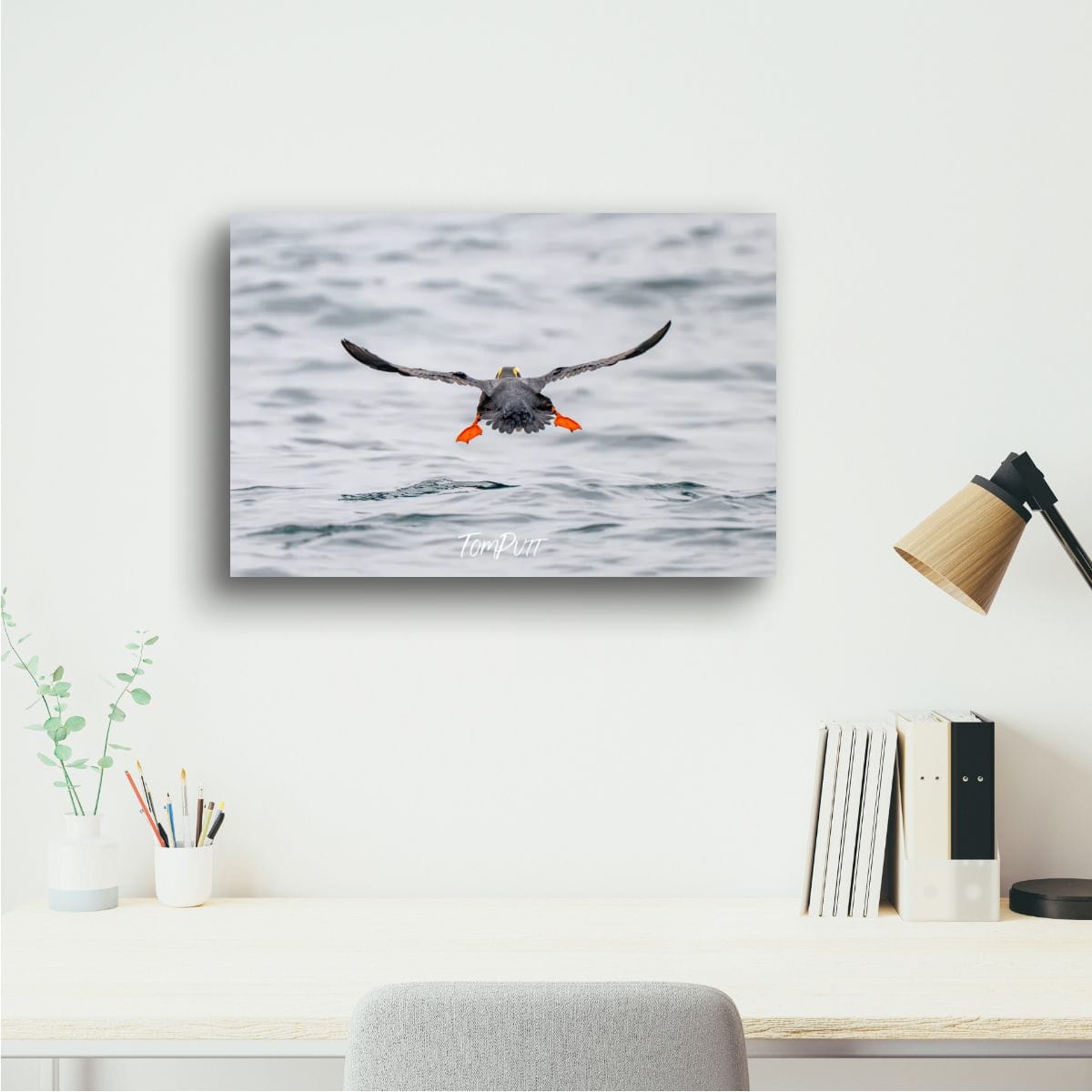 Wave Goodbye: Tufted Puffin