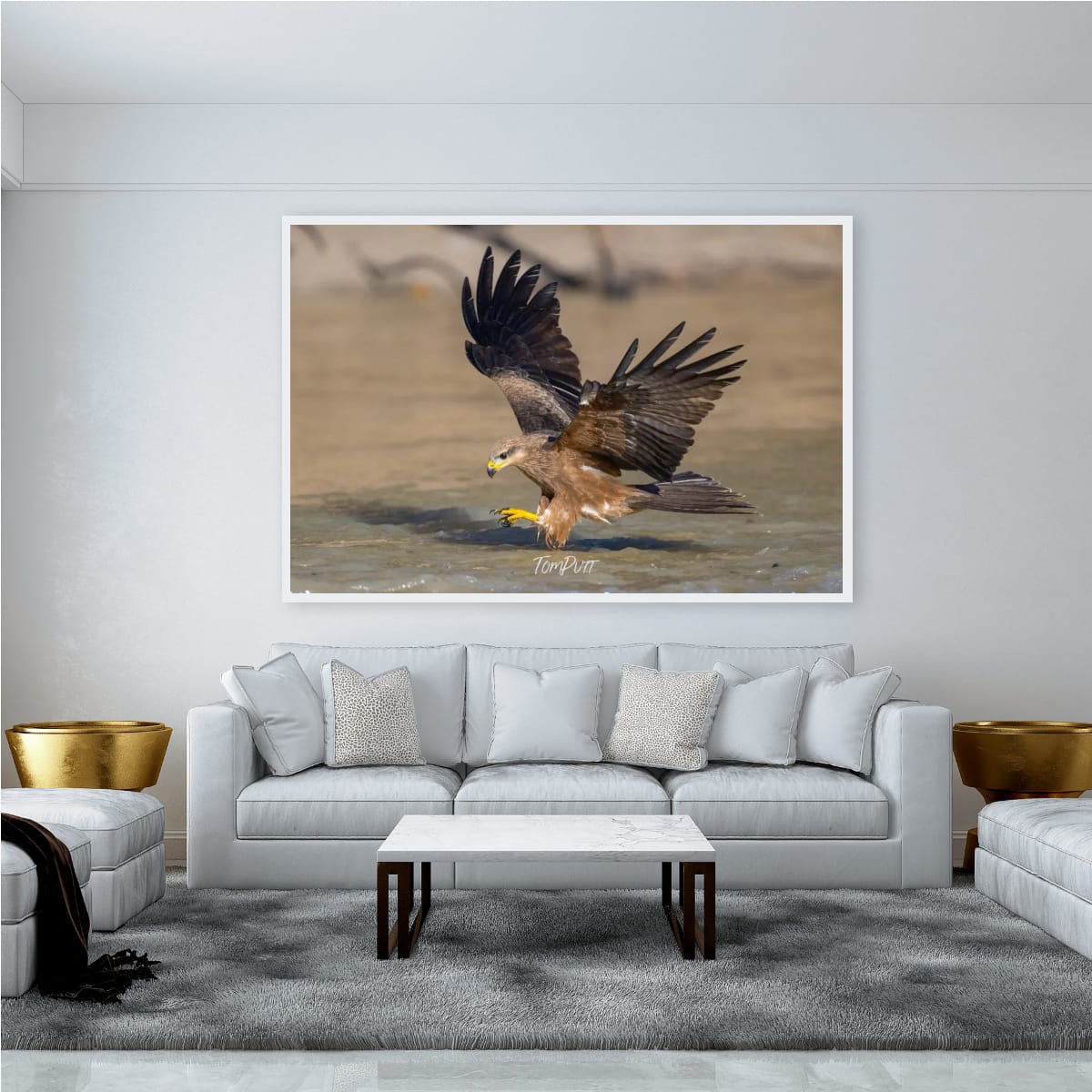 Precision Dive. Black Kite