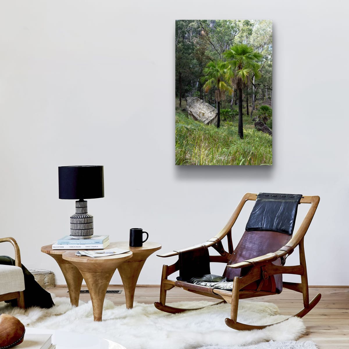 Carnarvon Gorge Palmscape
