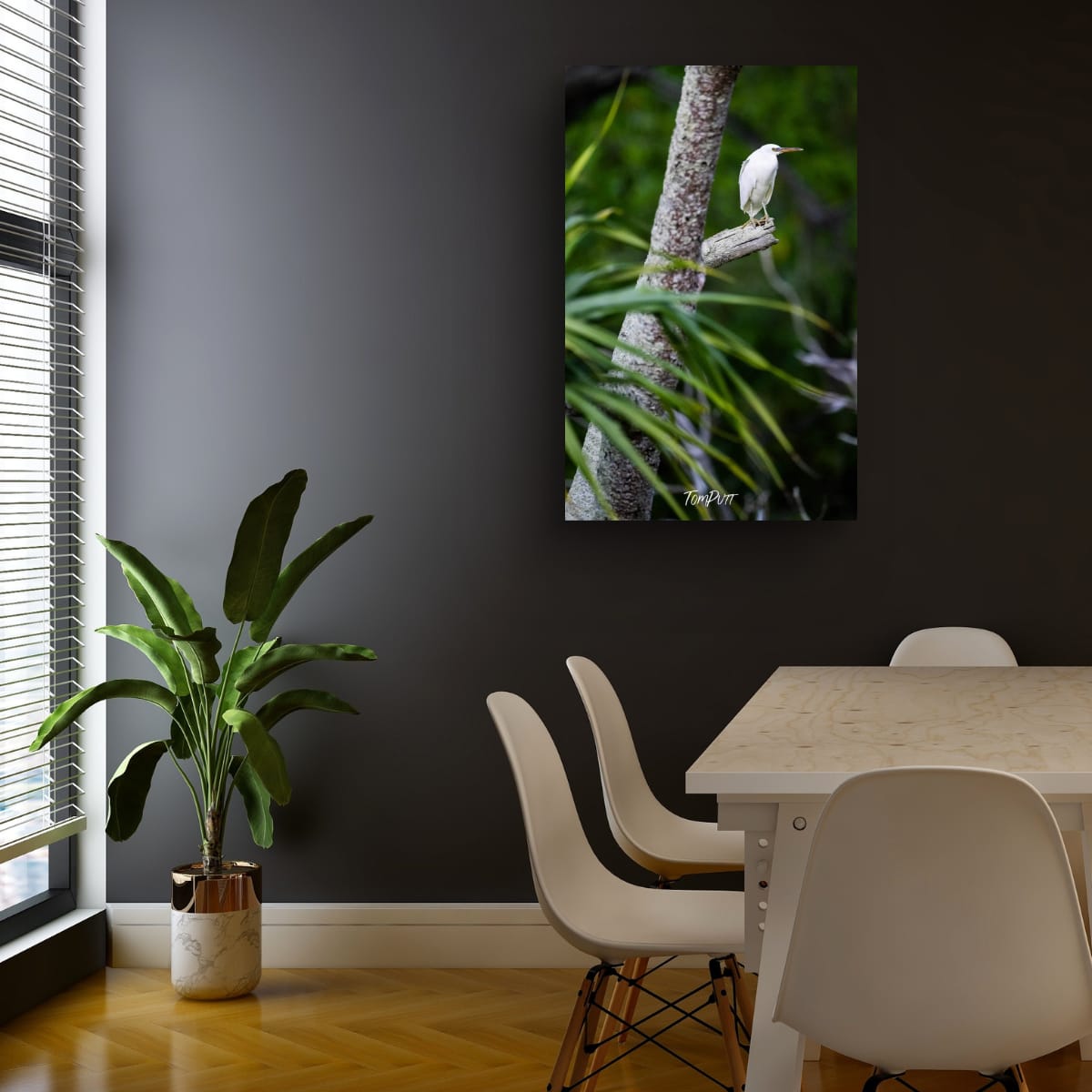 Heron Island Lookout