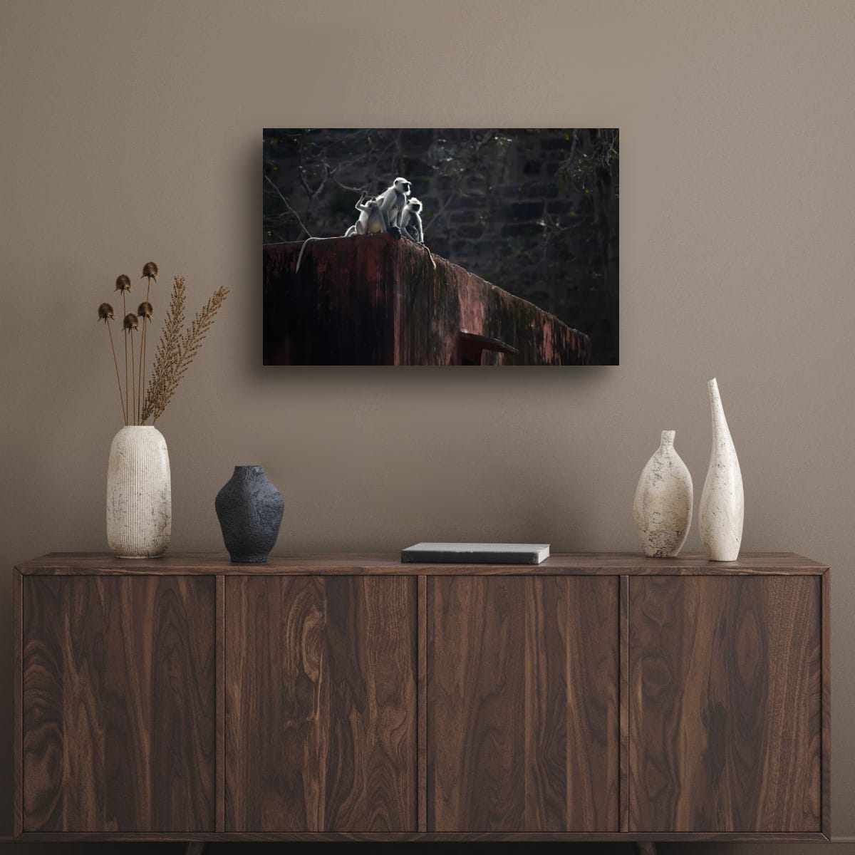 Rooftop Monkeys, India