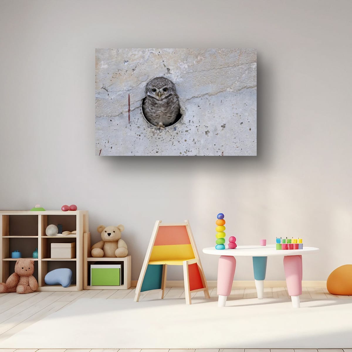 Spotted Owlet, India