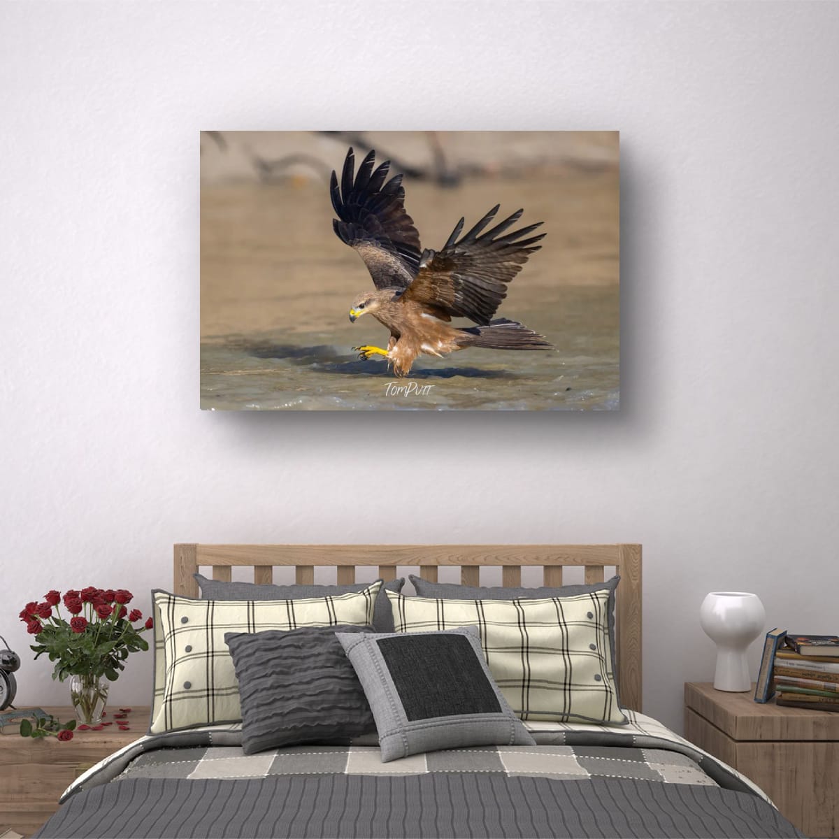 Precision Dive. Black Kite