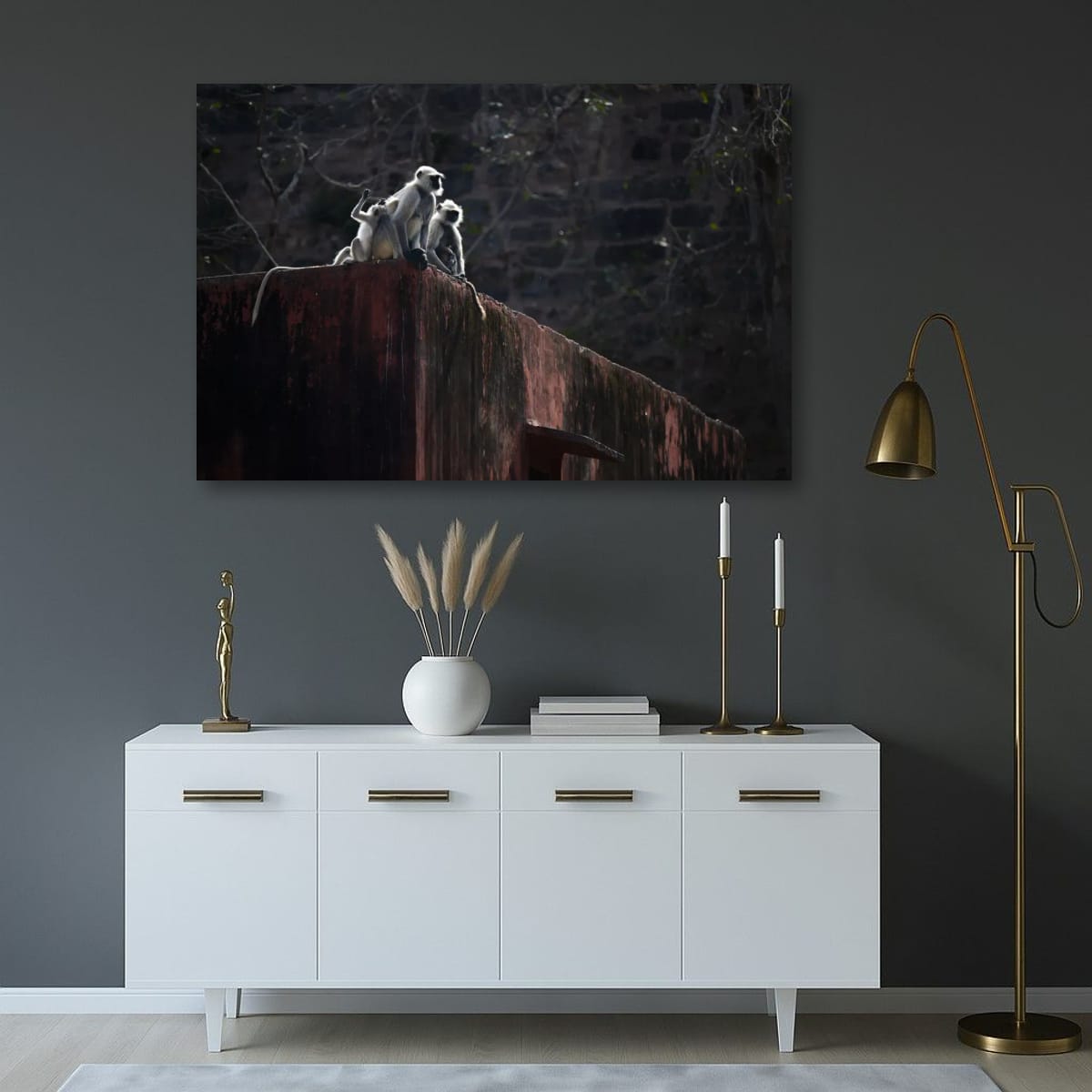 Rooftop Monkeys, India