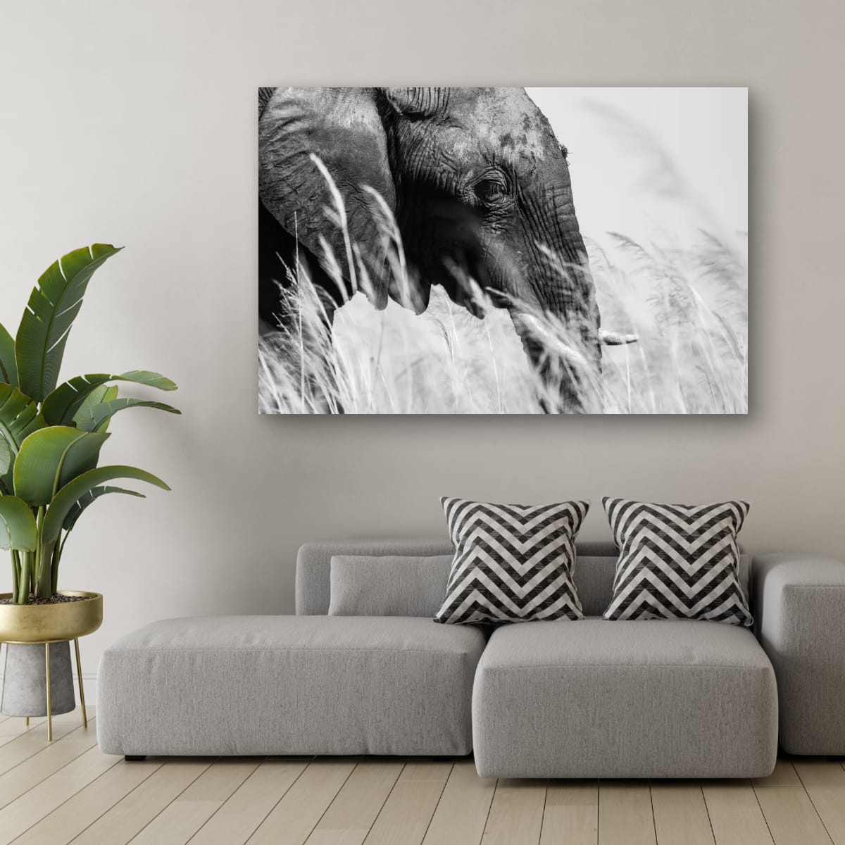 Beast in the Long Grass