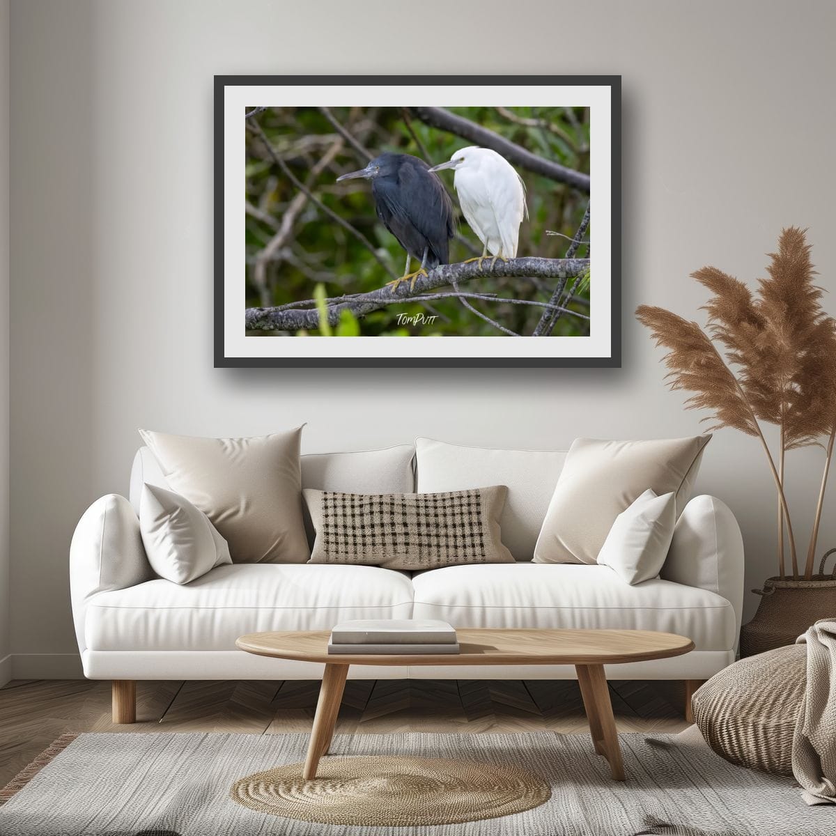 Eastern Reef Herons in Harmony