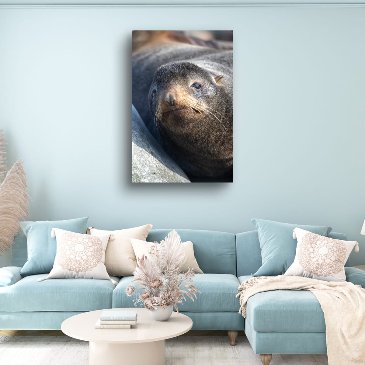 Resting Sea Lion