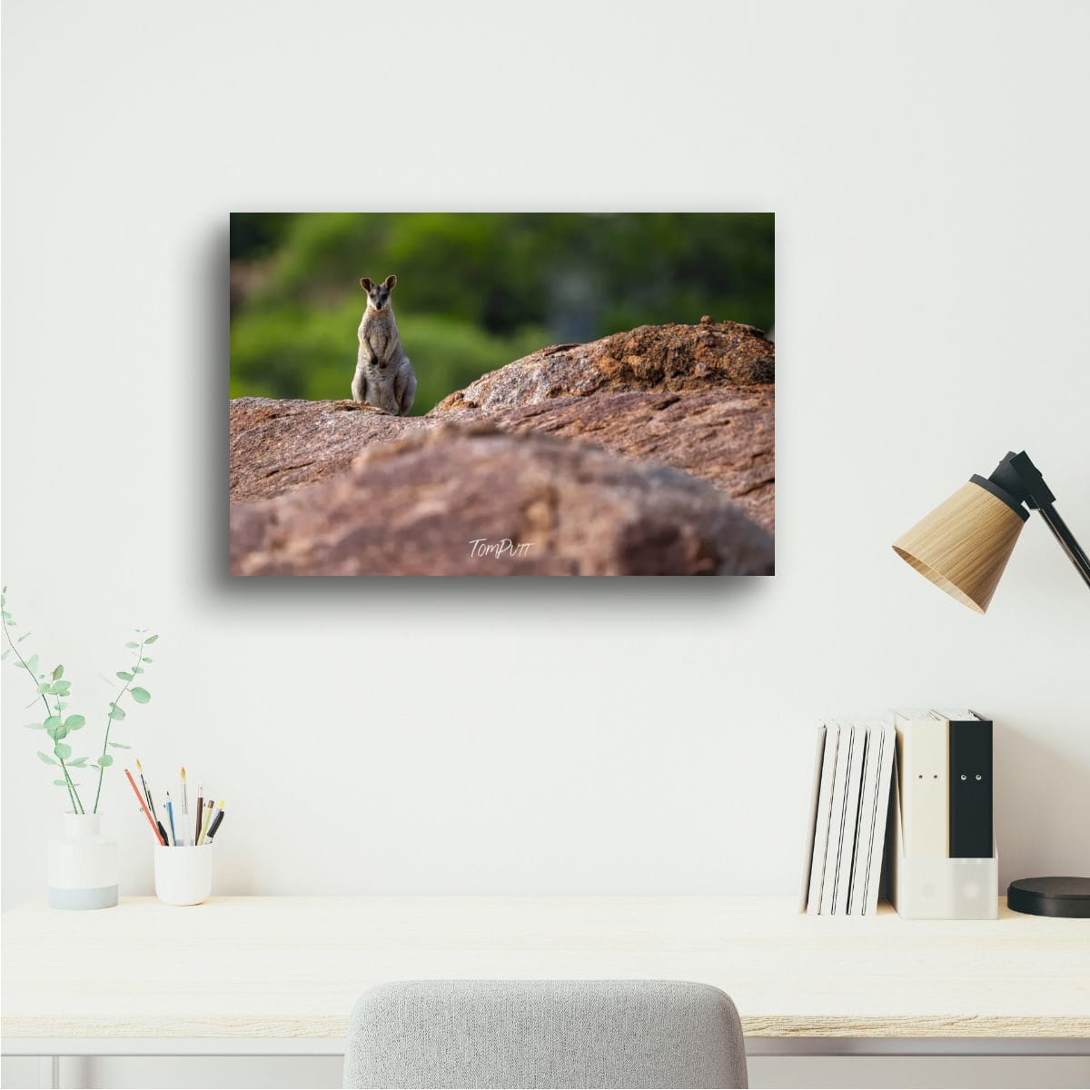 Upright. Purple-Necked Rock Wallaby