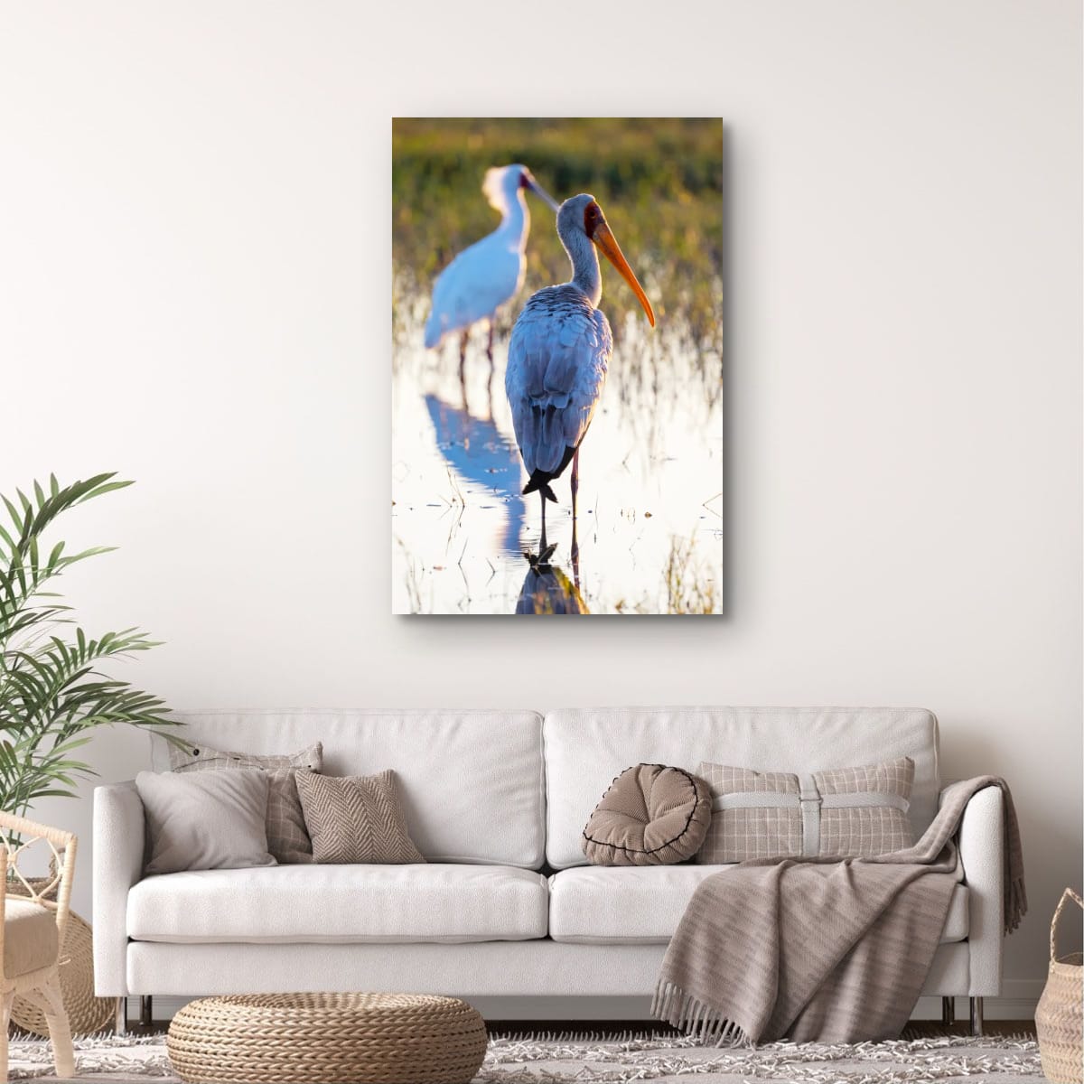 Yellow-Billed Stork