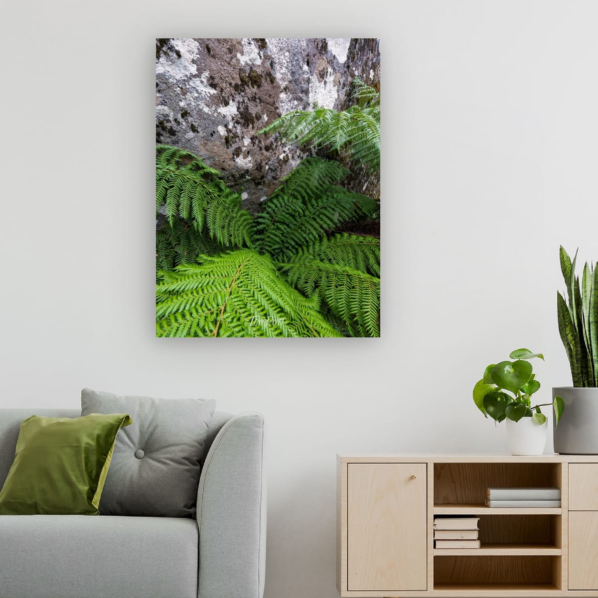 Fern Harbour, Mt Baw Baw
