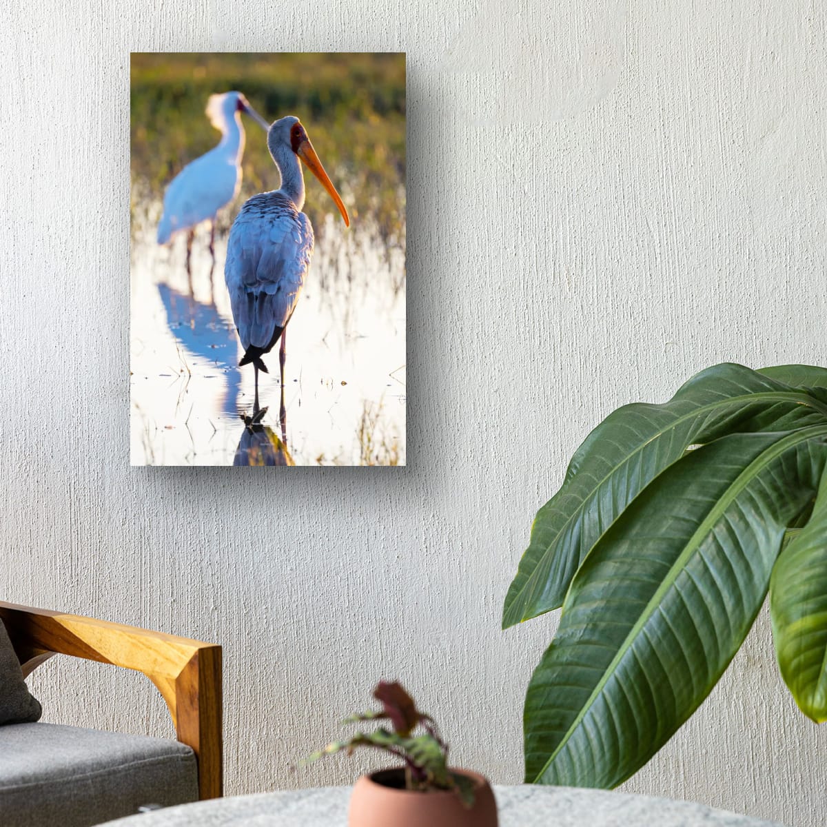 Yellow-Billed Stork