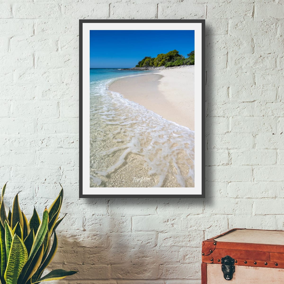 The Curve of the Shore