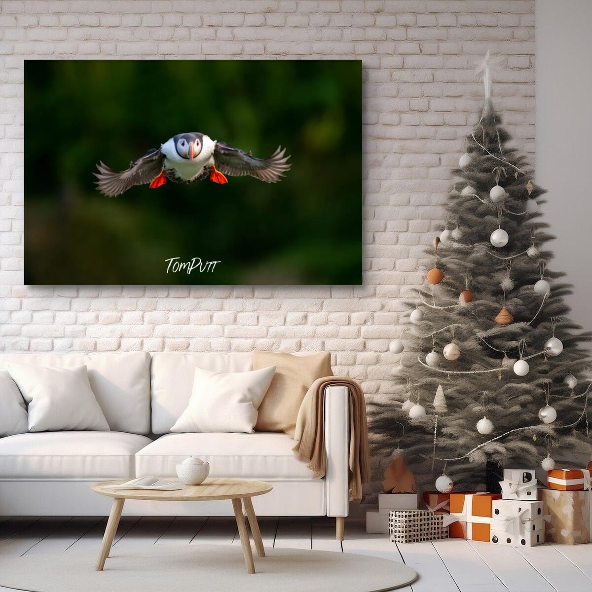 Atlantic Puffin on Approach