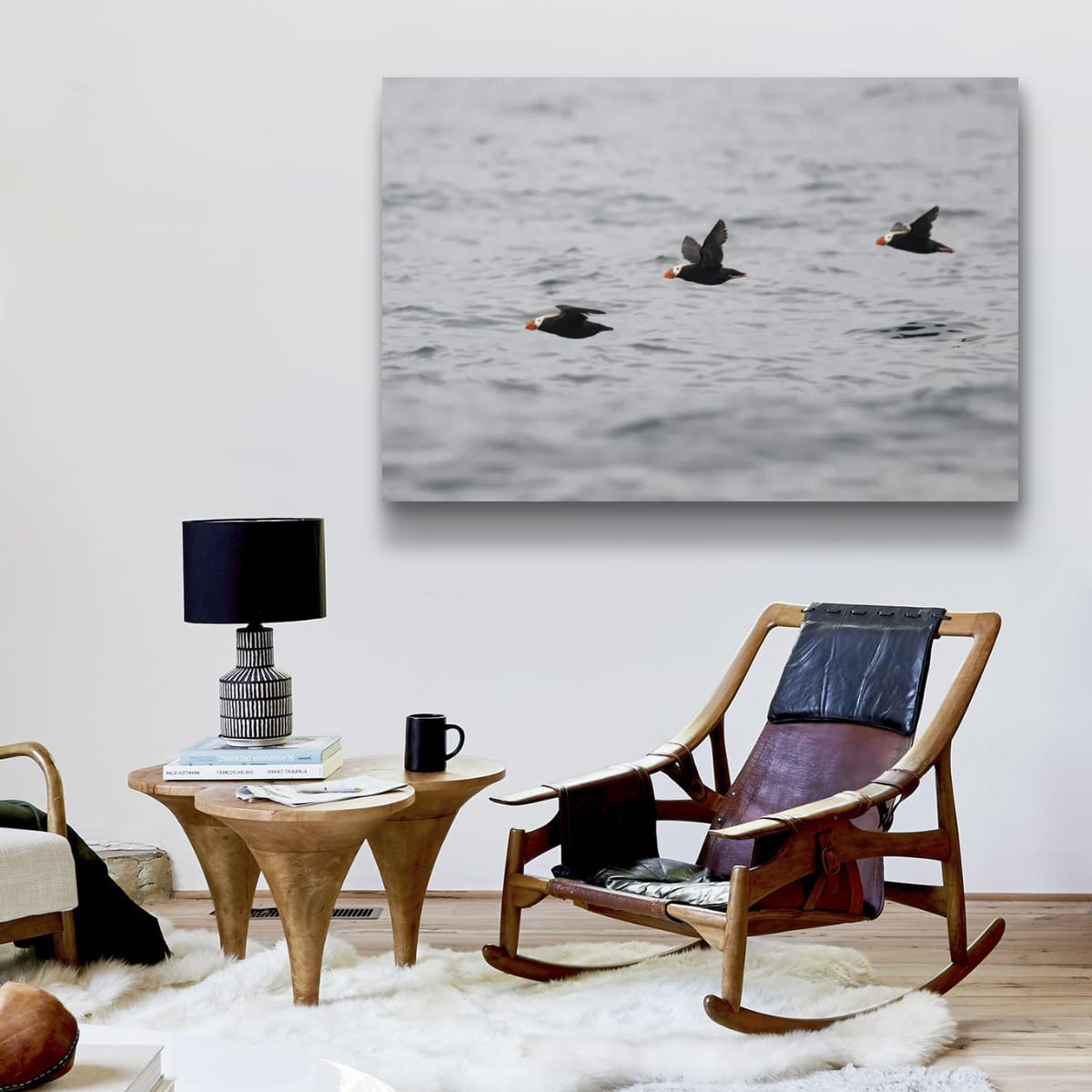 A Trilogy of Tufted Puffins