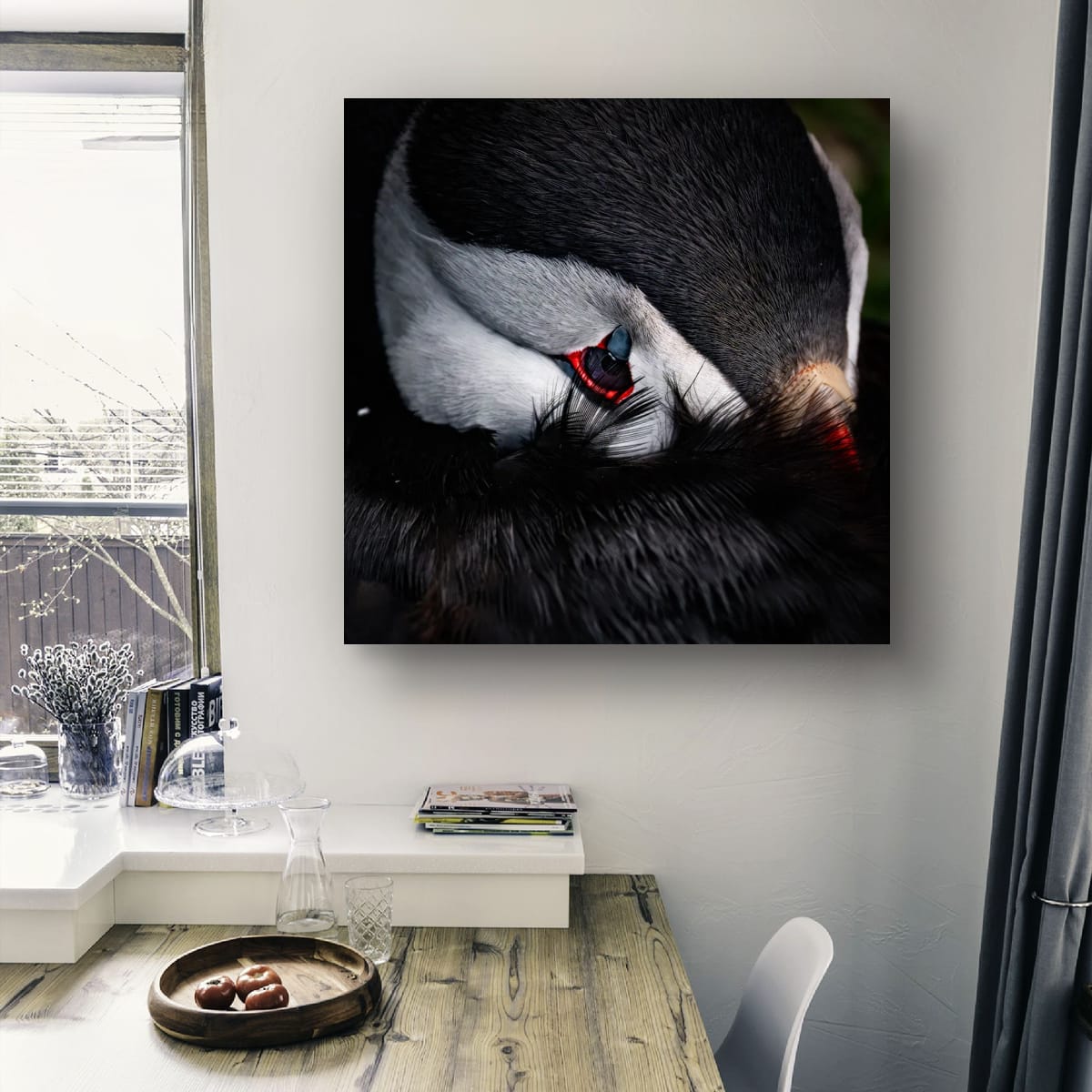 Quiet Gaze. Atlantic Puffin
