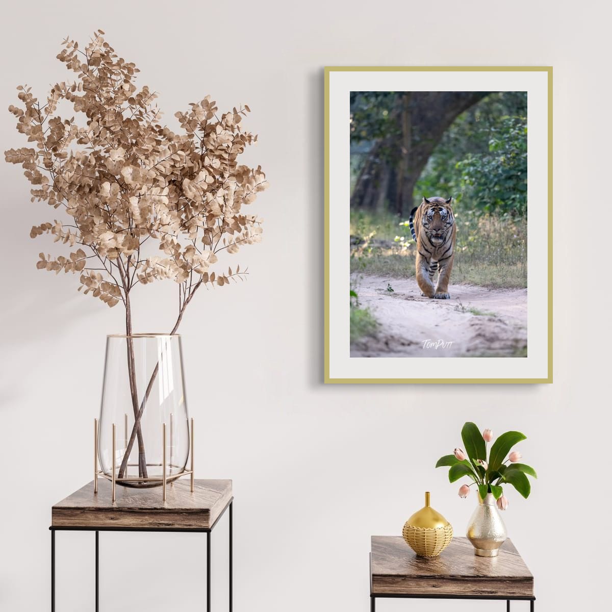 In a Tiger's Gaze, India