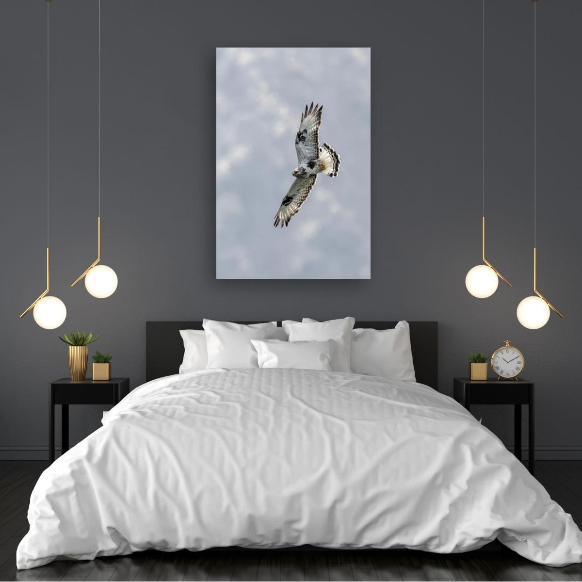Wings Out. Rough-Legged Hawk