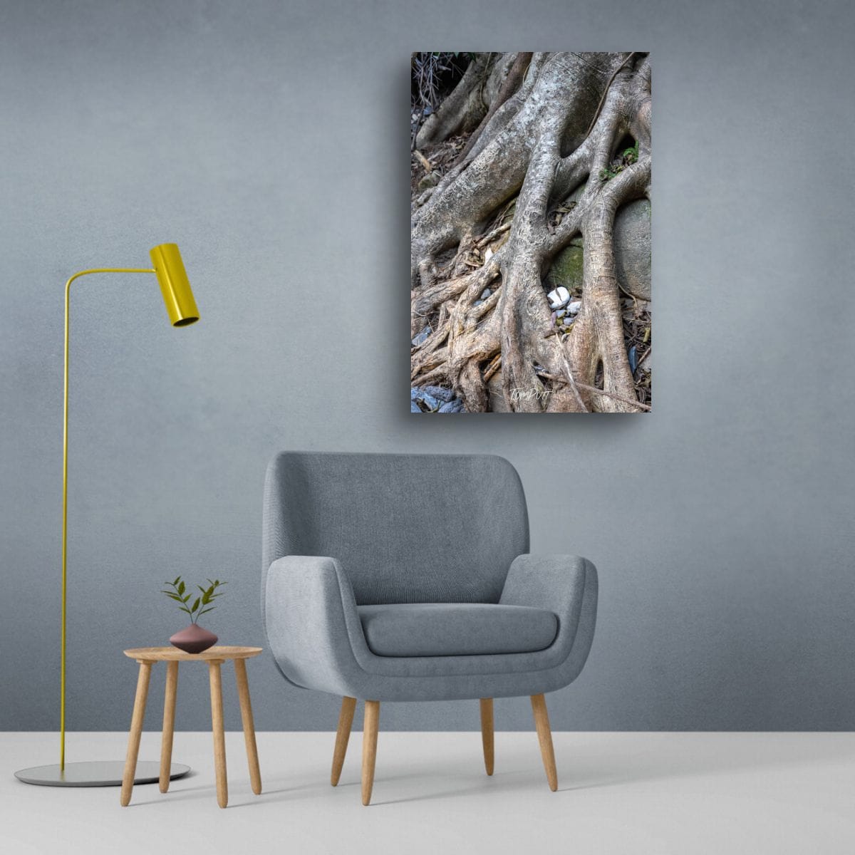 Tangled, Carnarvon Gorge