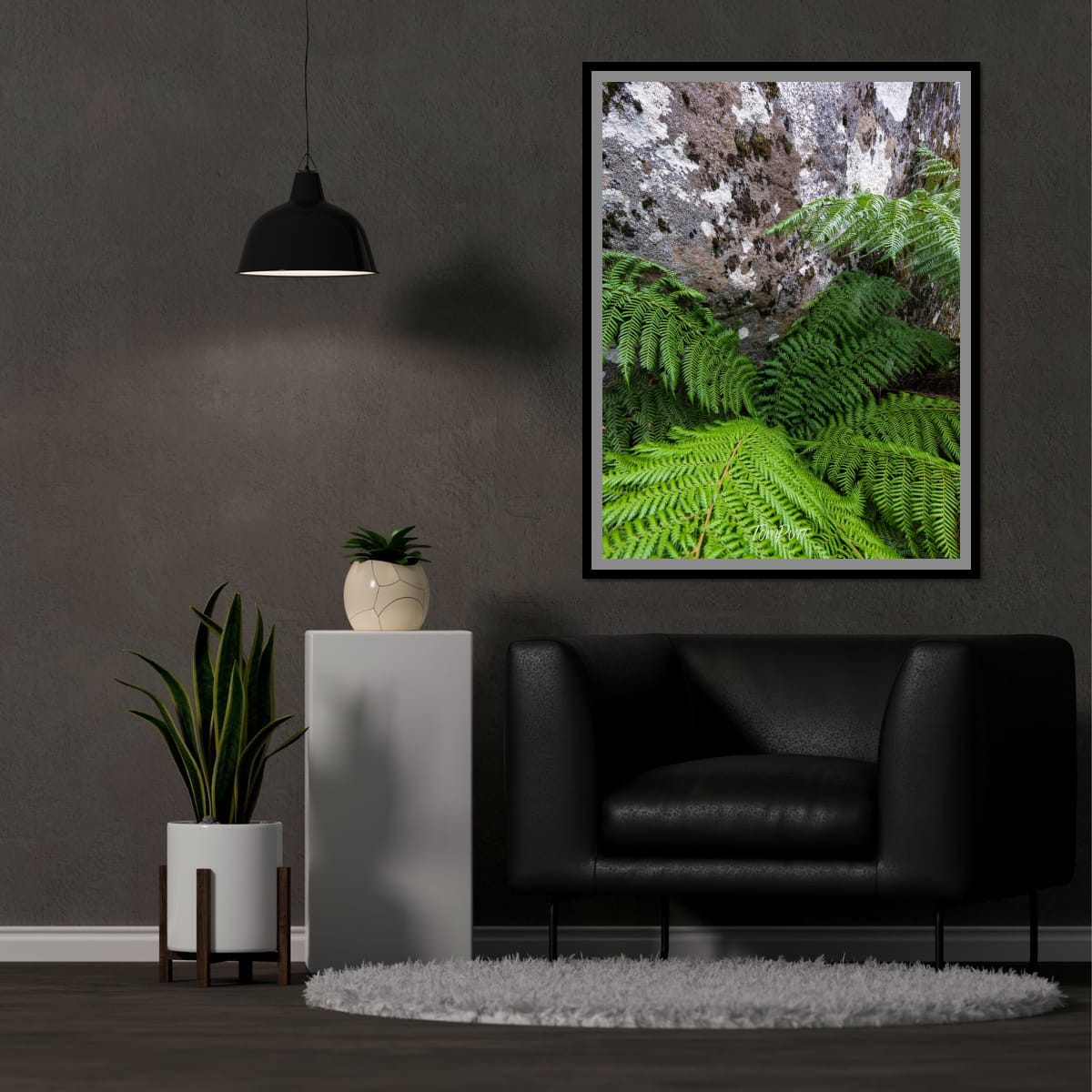 Fern Harbour, Mt Baw Baw
